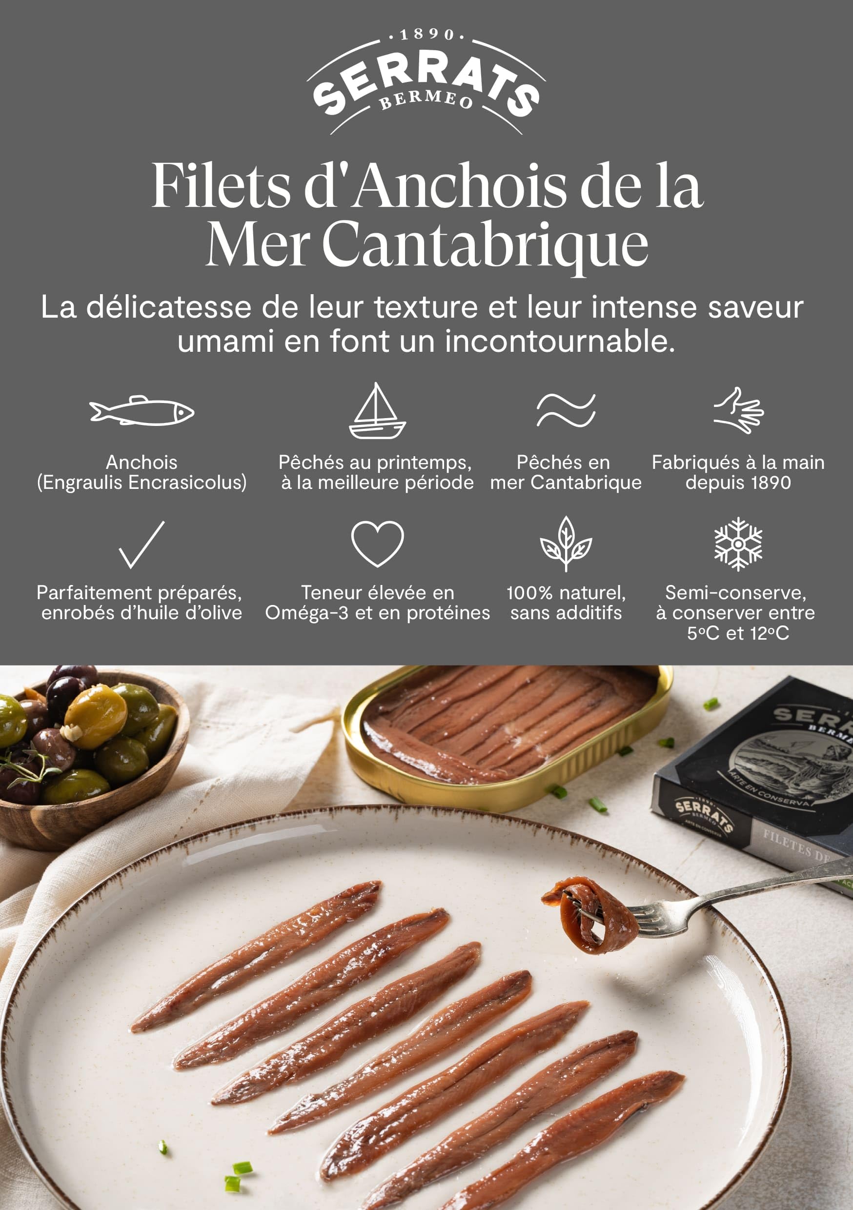 6 unités - SERRATS - Filets d'Anchois du Golfe de Gascogne à l'huile d'olive 85g