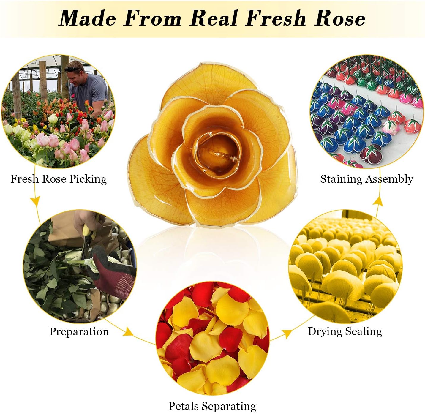 Ejoyous Gold Plated Rose, 24K Gold Dipped Real Rose Flower Lover Mom Wife Daughter Girl Friend, Present on Mother's Day, Wedding Anniversary, Birthday, Proposal, Reward (Yellow