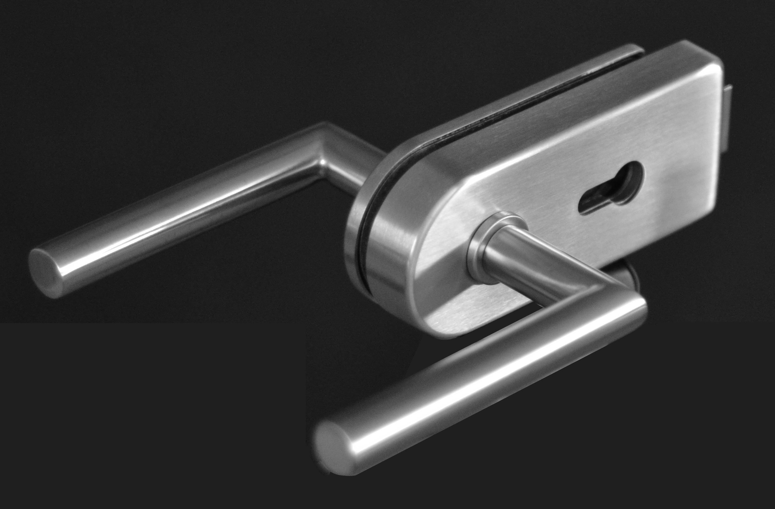 ARX: Glasdrehtür, ESG Glas 709x1972x8mm, DIN links, Siebdruck P1, mit Beschlag inkl. Aufnahme für Profilzylinder OHNE Profilzylinder