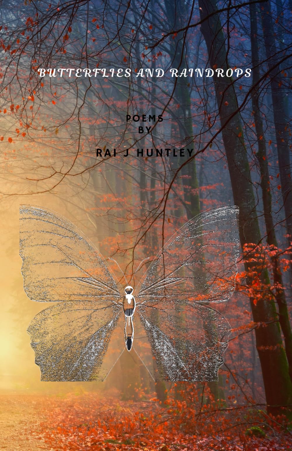 Butterflies and Raindrops