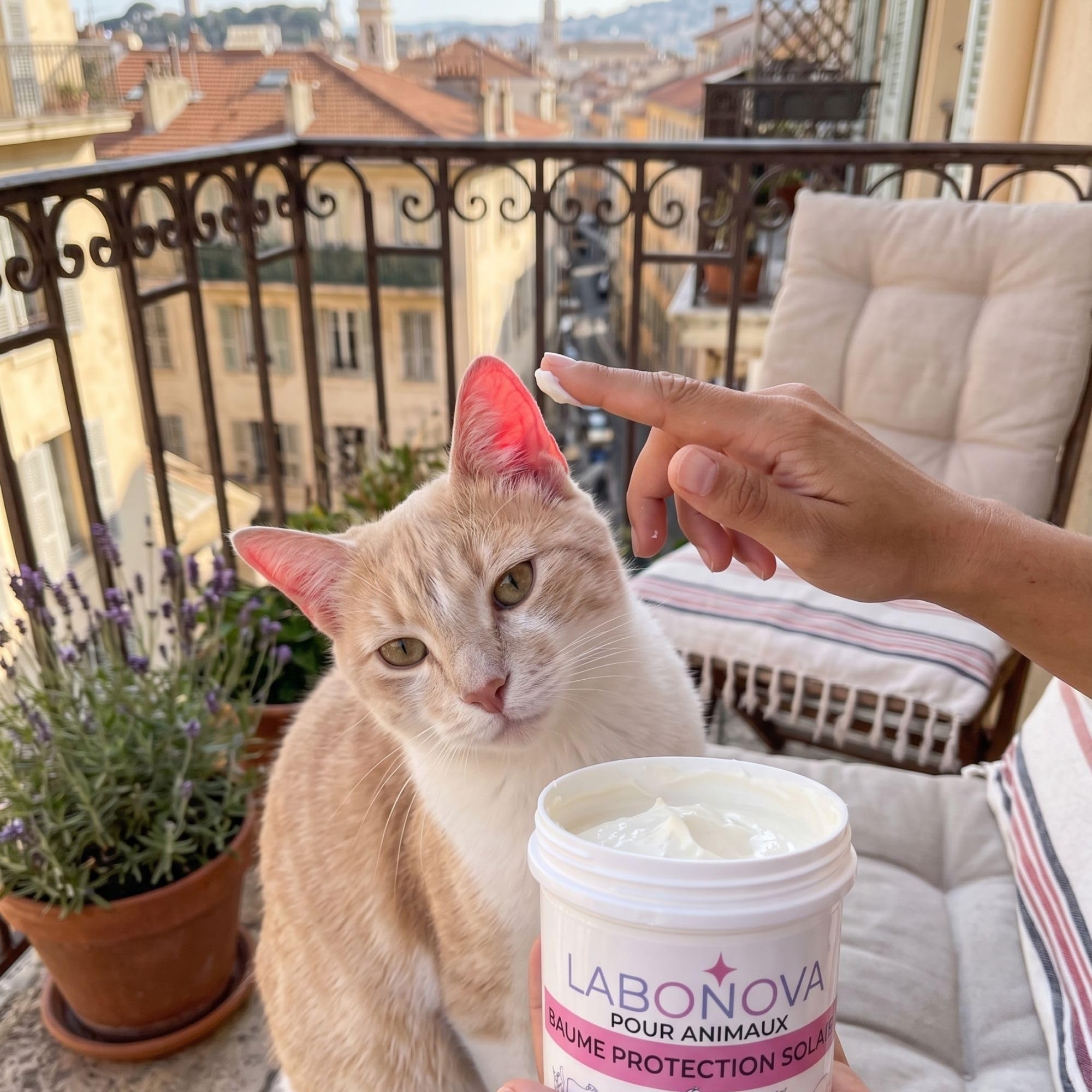 Crème Solaire minéral pour Animaux – Protection UV résistante à l’Eau – Chiens, Chats, Chevaux, Lapins et Autres Animaux