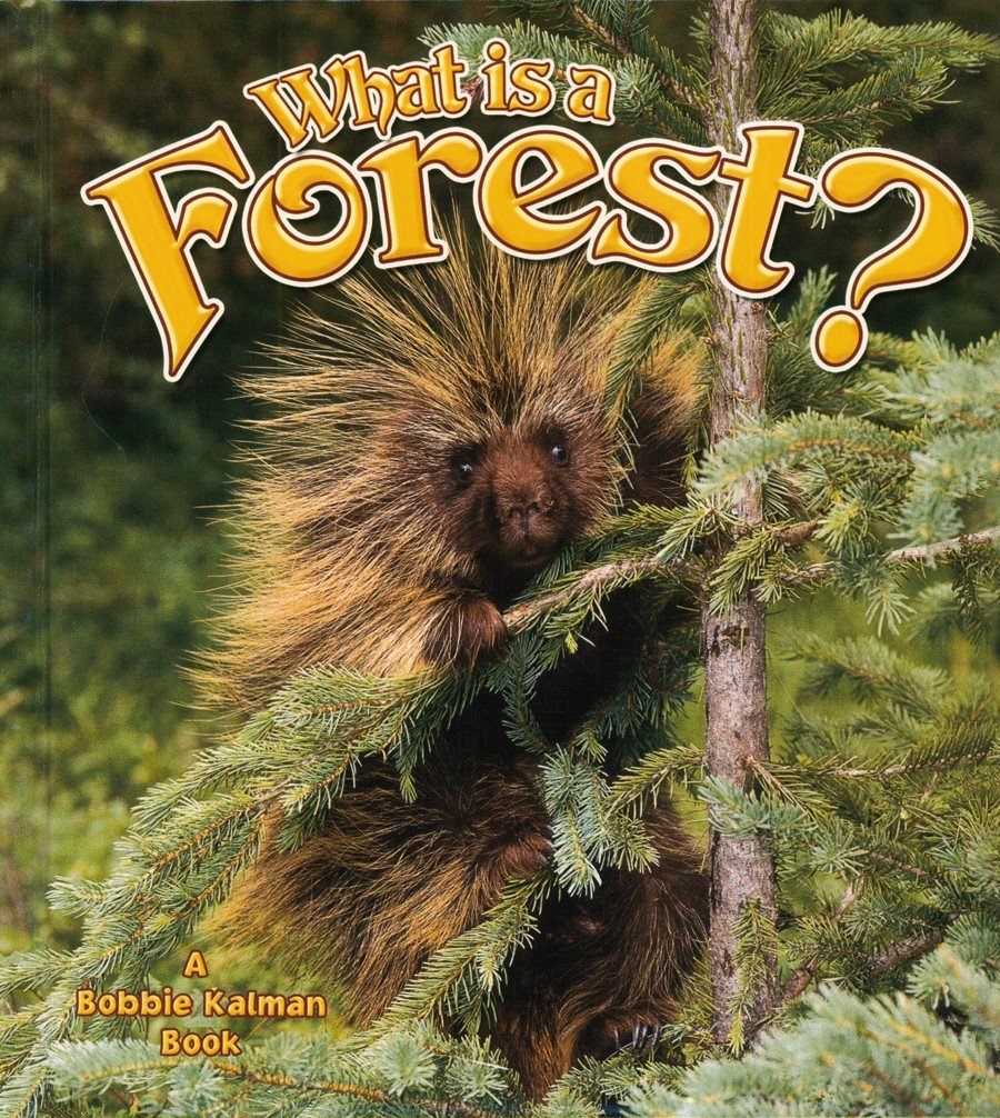 What Is a Forest? (Science of Living Things)