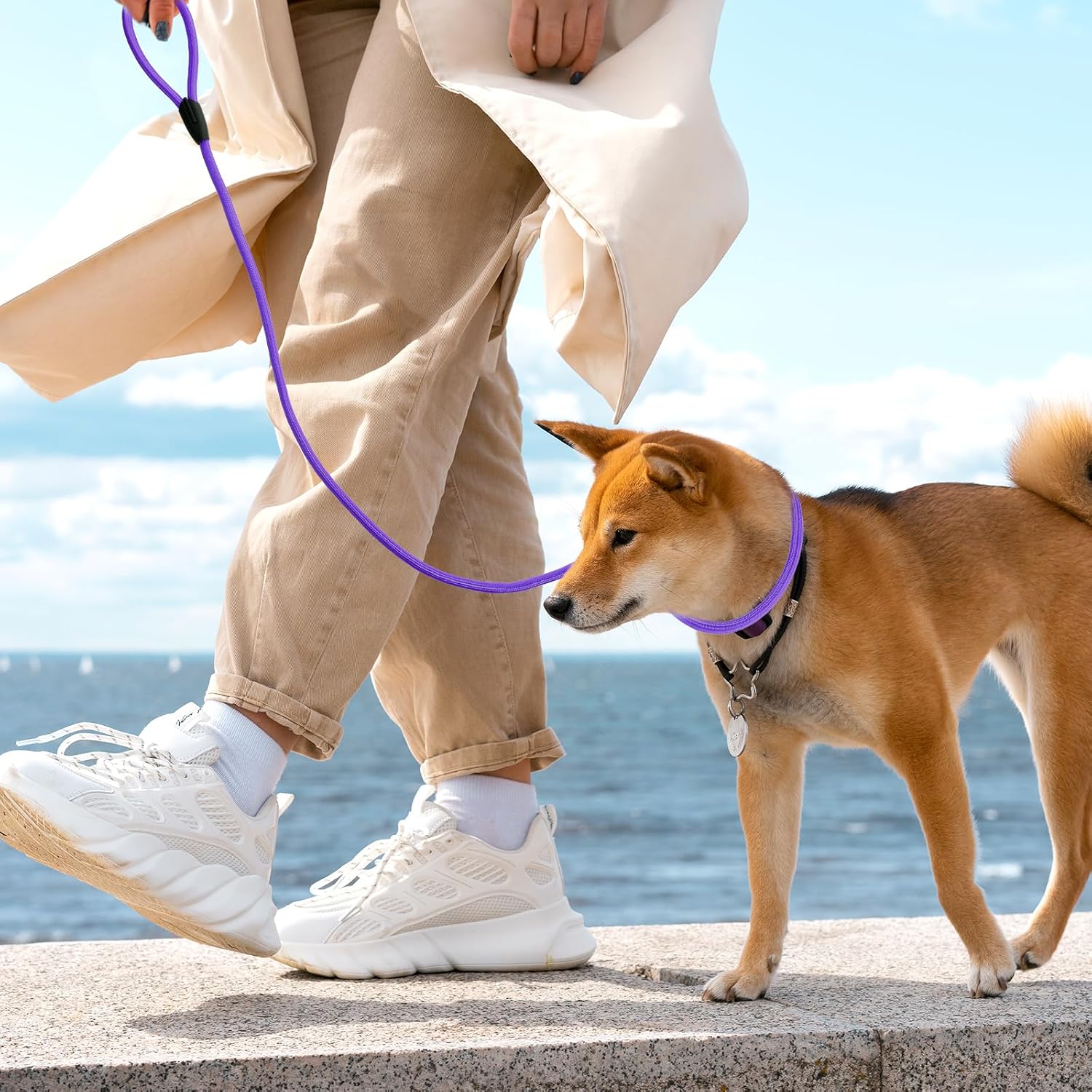 6pcs Slip Leads Dog Leash Heavy Duty Rope Leash for Small Medium Dogs, 5FT Classic Dog Leashs Strong Nylon Dog Training Leashs Strong Comfortable Loop Leashes (3/8", 6 Colors)