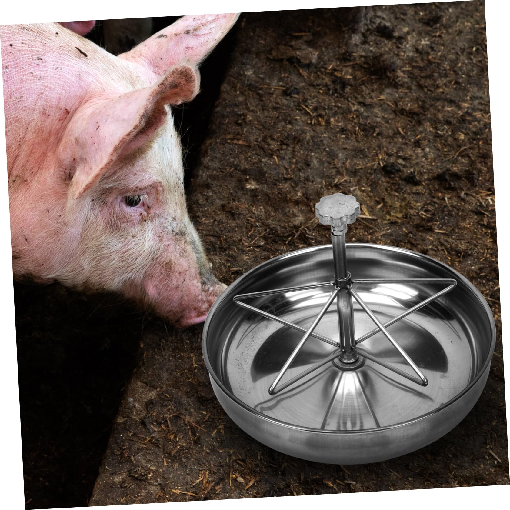 TOYANDONA Comedero Para Lechones De Acero Inoxidable Equipo De Alimentación Para Cerdos Comedero Para Granjas De Cría Apto Para Bol Acero Inoxidable y Cuenco