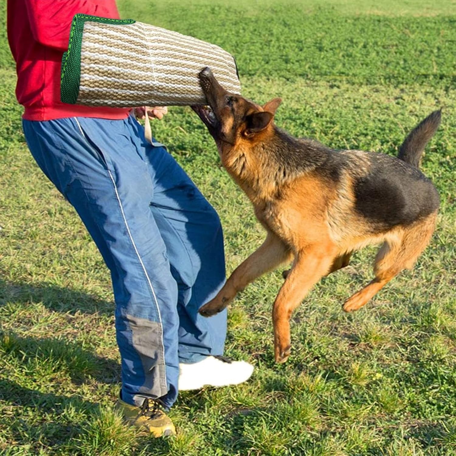 attack dog training equipment
