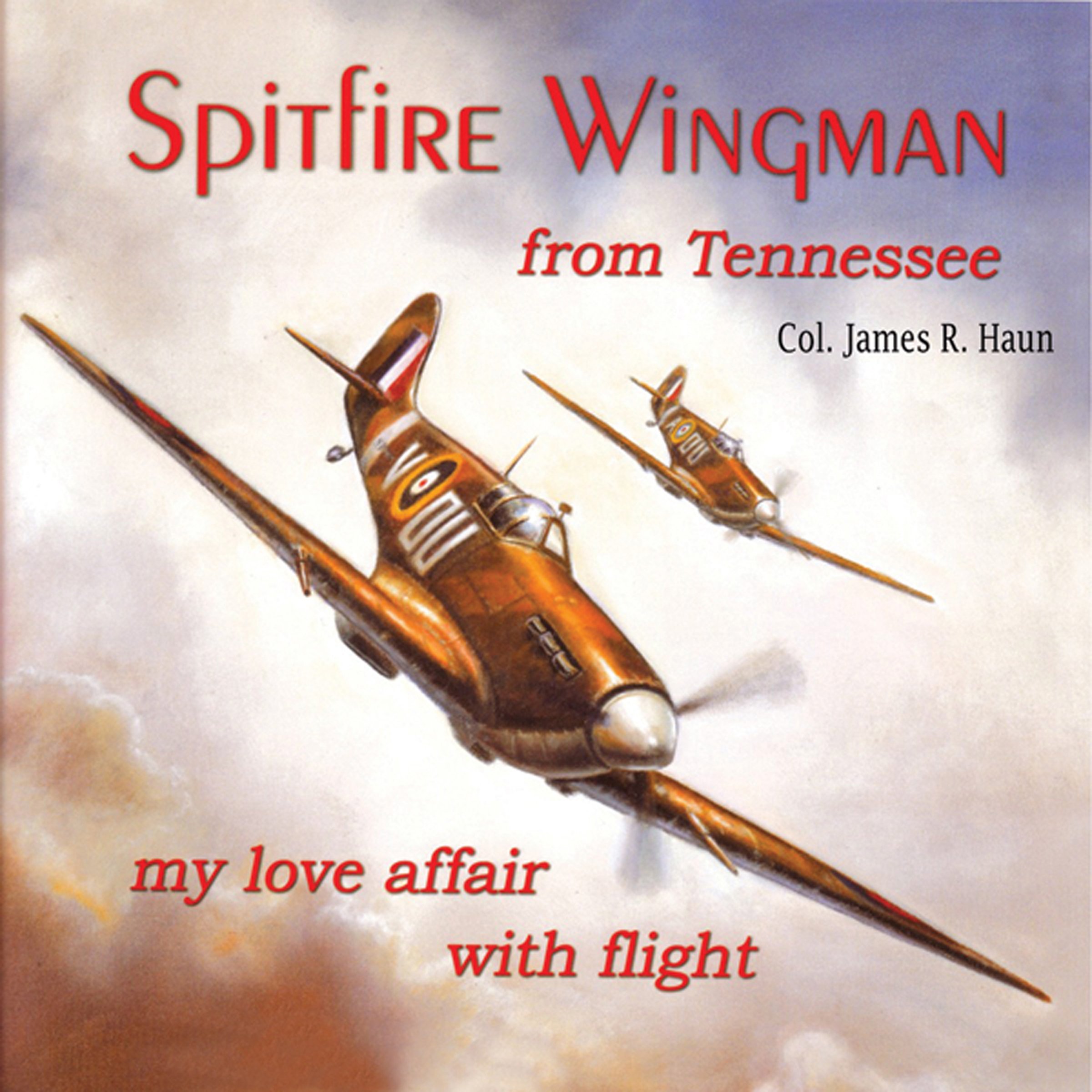 Cover art for Spitfire Wingman from Tennessee