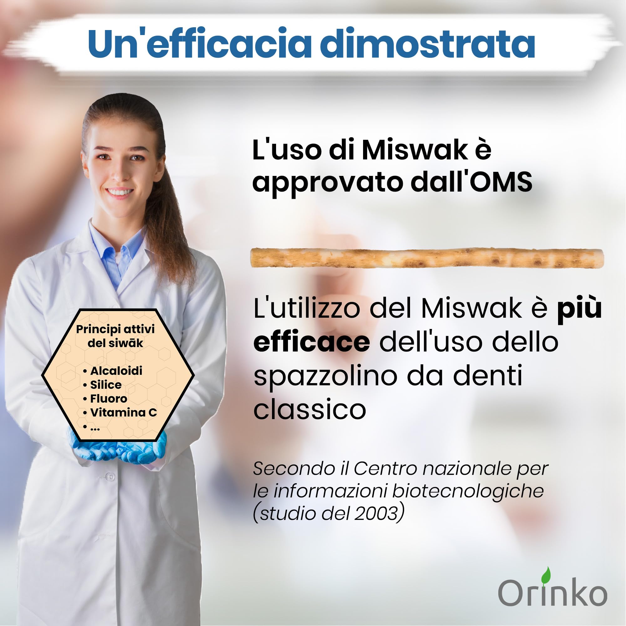 ORINKO® Siwak per Denti Naturale x2 - Spazzolino Ecologico per Pulizia e Sbiancamento Denti - Miswak Africano per Cura Naturale - Bastoncini di Araak per Igiene Orale - Alternativa Sostenibile