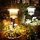 BITPOTT Super Bright Solar Pathway Lights 8 Pack, Adjustable Warm & Cold Solar Lights Outdoor Waterproof IP65, Auto On/Off, O