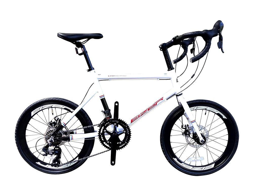 美品　Eizer アイゼル　ミニベロ　ディスクブレーキ EIZER ミニベロ 軽量 20インチ 自転車 小径車 8段変速
