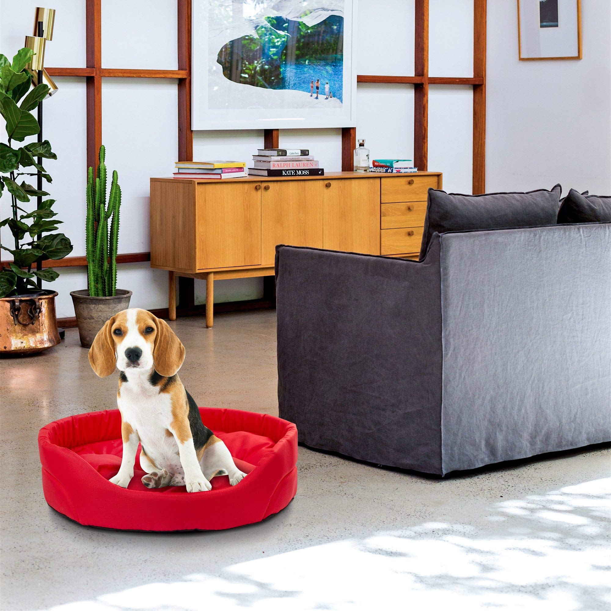 BOUTIQUE ZOO Hundebett | Oval Hundekissen fr Kleine Hunde oder Katzen |  Kratzfest Hundeliege mit Kissen | Hundekorb | Waschbar Polyester | Groe: S  (46x40 cm) | Farbe: Rot : Amazon.de: Haustier