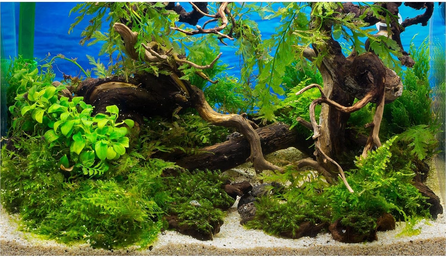 ZatiasMiller Aquarium Background Stone River Bed Terrarium