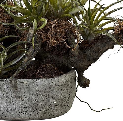 Miniatura 3 de Nearly Natural 4839 - Juego de arreglos florales de orquídeas y suculentas con madera flotante y jarrón decorativo