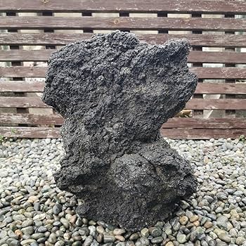 Amazon.co.jp: 富士溶岩石26.5キロ庭石鑑賞石石盆石水石灯籠庭坪