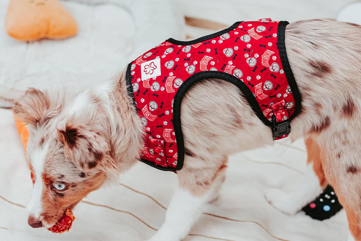 Ohio State Brutus Buckeye Pet Harness (Small)