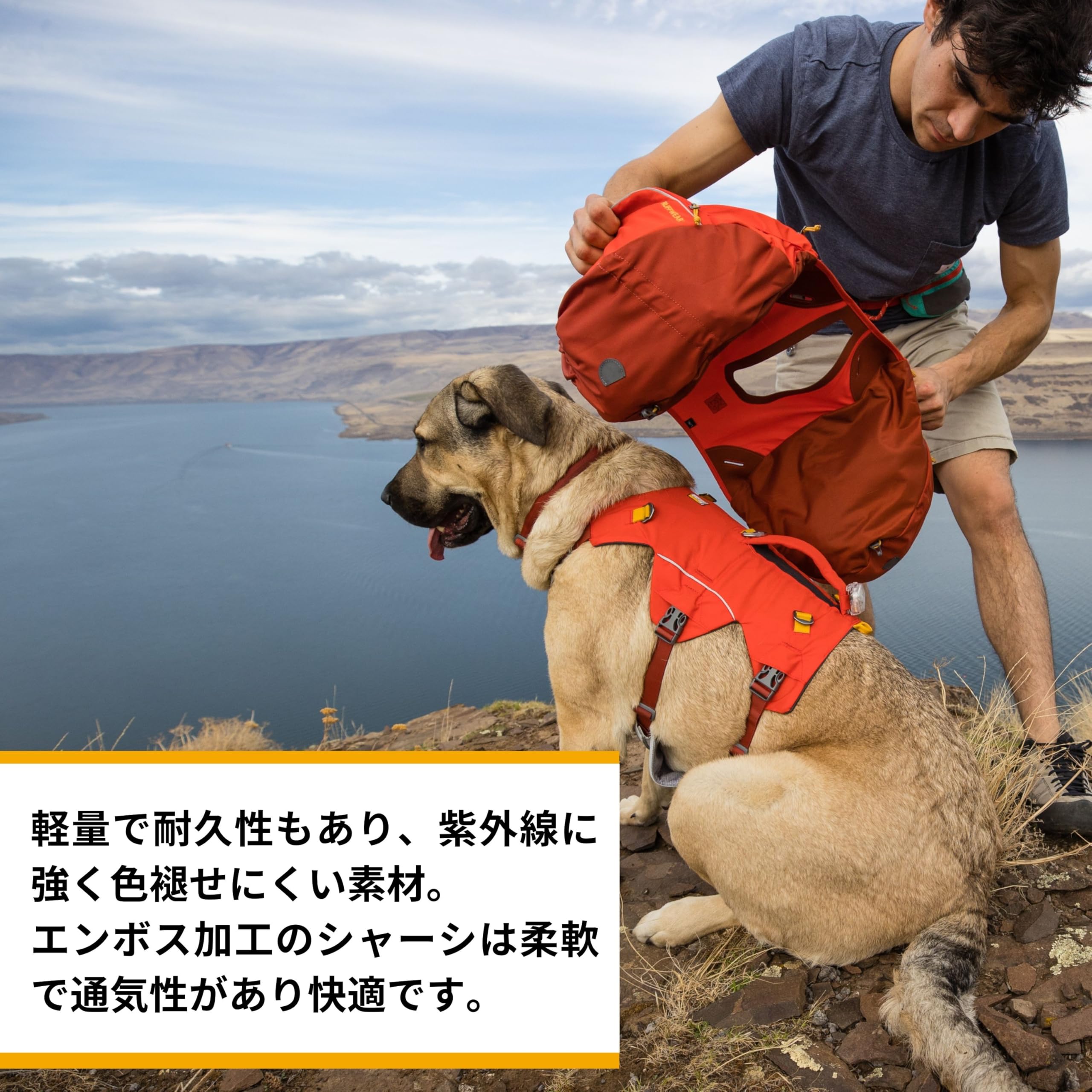 Amazon | RUFFWEAR(ラフウェア) パリセーズパック レッドスマック