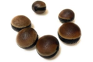 Ojo De Venado 6-Pack Deer’s Eye Seeds Undrilled Natural Gemstones