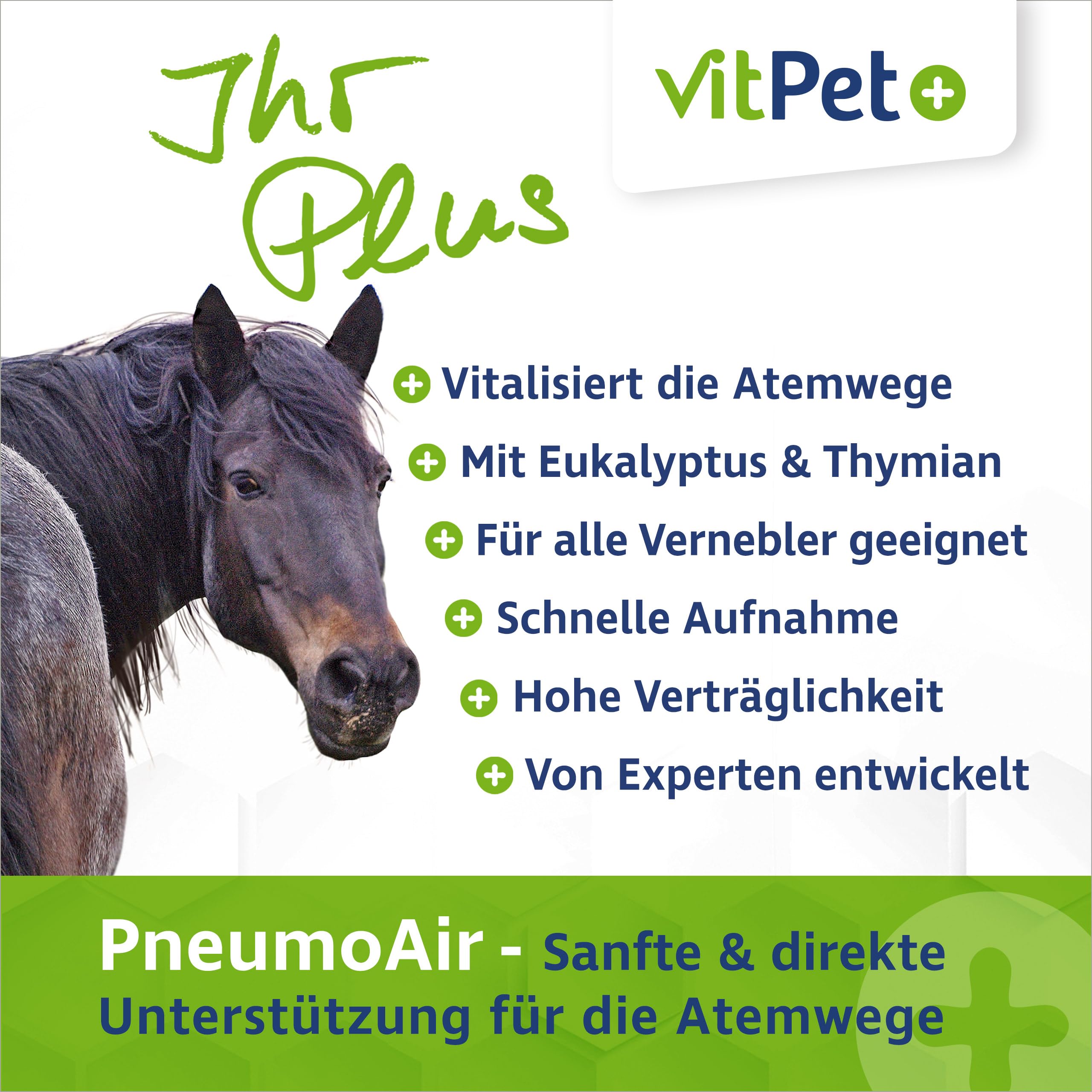 PneumoAir – Inhalationslösung für Pferde – Bei Husten Pferd – Schleimlösend & beruhigend – Mit Eukalyptus & Thymian – Für alle Vernebler – 100 ml