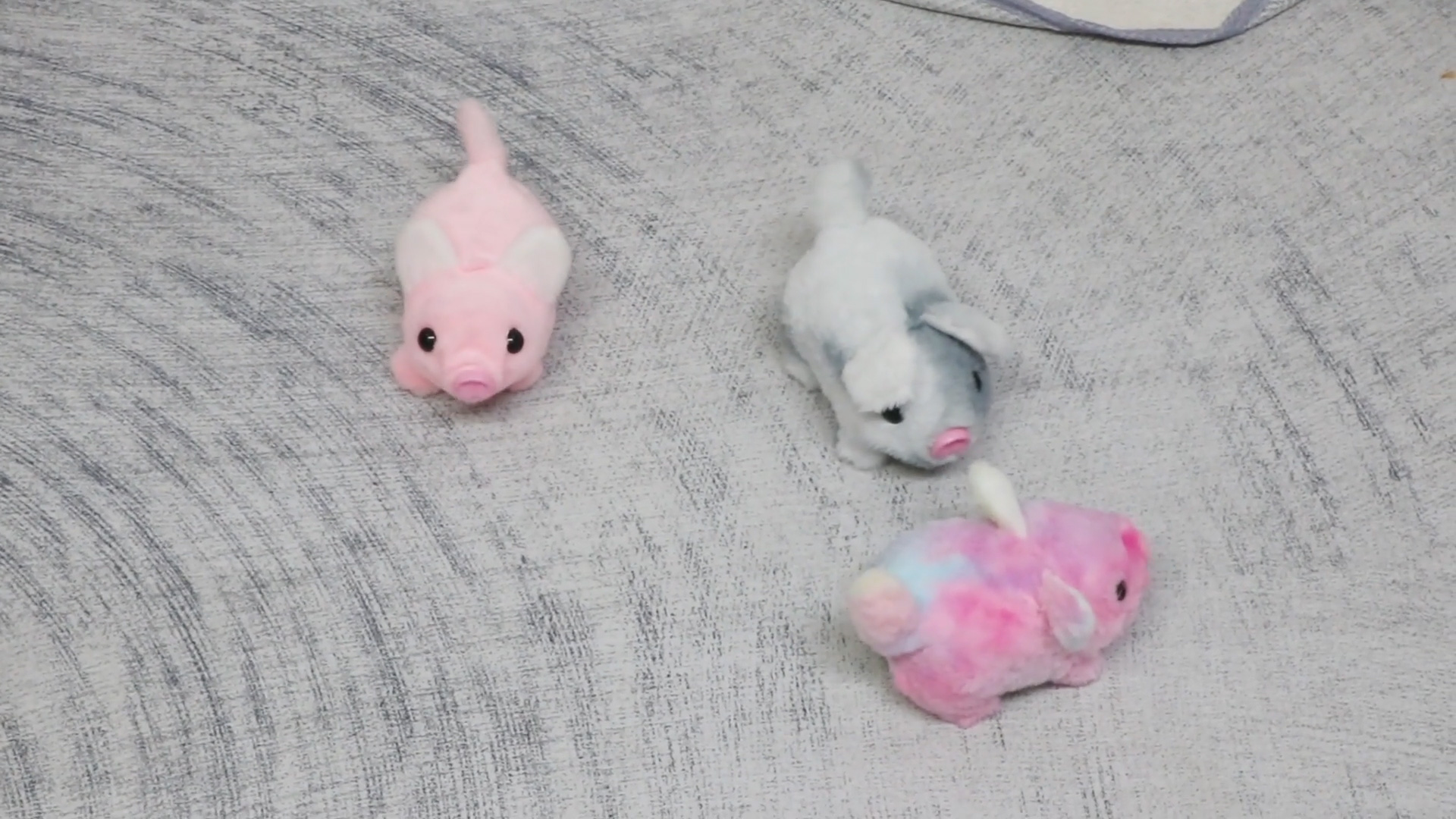 Amazon.com: Hopearl Walking Piggy Pet Interactive Crawling Piglet