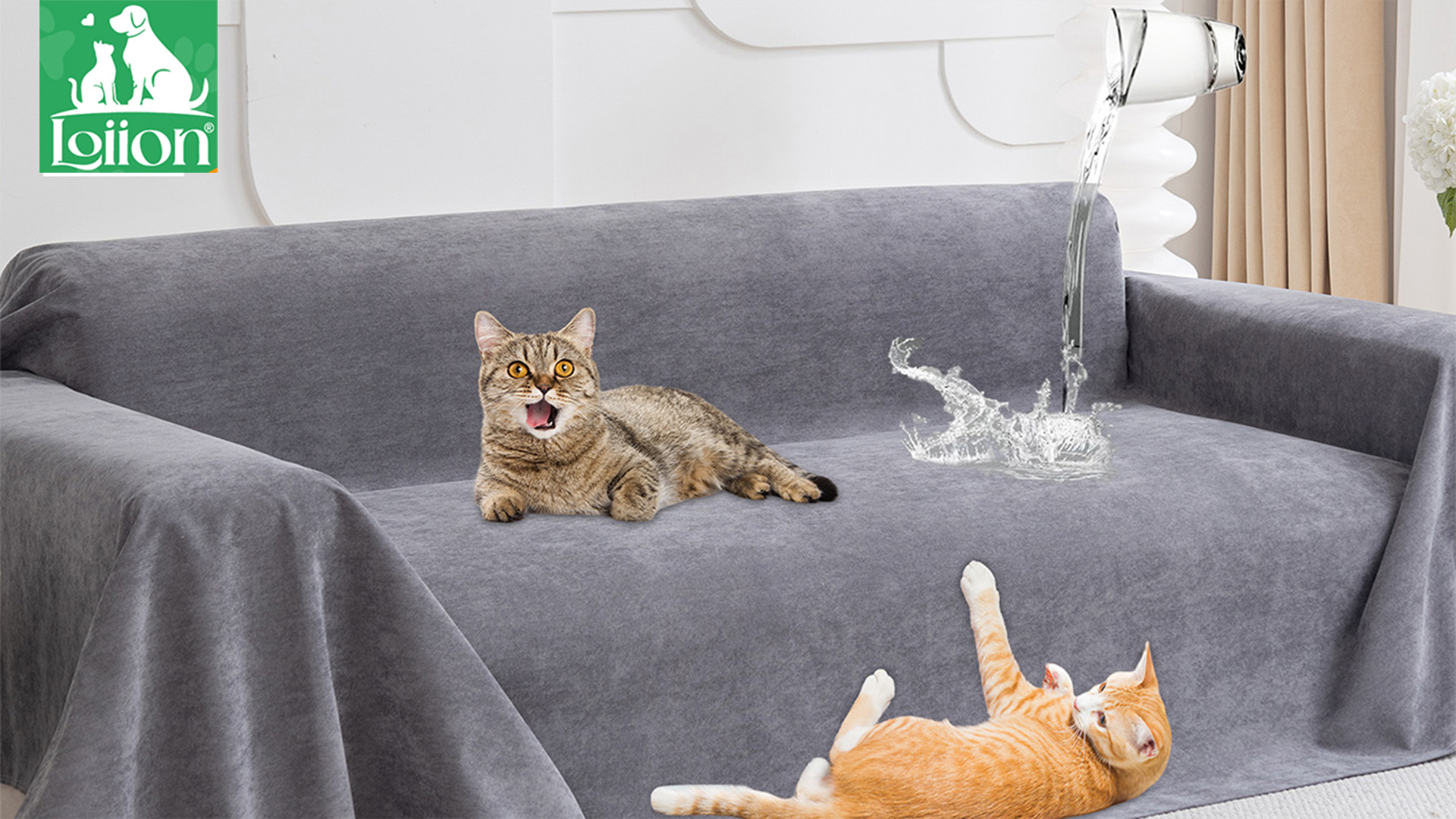 Copridivano Impermeabile Per Cani E Gatti - Telo Protettivo Antiscivolo Per Divano E Letto - Foto 5