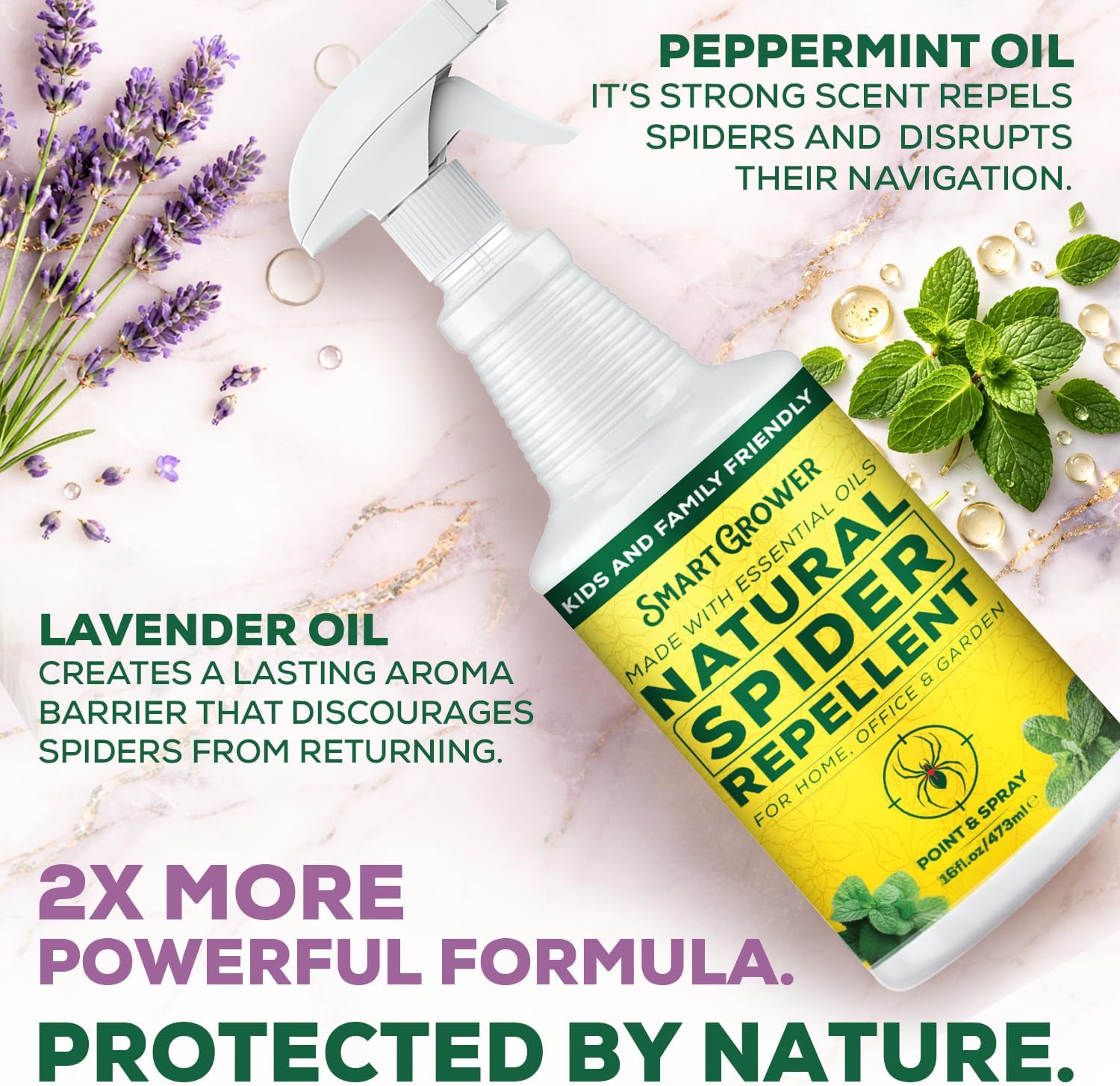 Natural Spider Repellent Spray – Indoor Spider Spray with Peppermint & Lavender, Family & Pet Friendly – Fresh Scent Spider Remover for Bedrooms, Bathrooms, Closets & Corners 16oz Ready to Use - Image 3