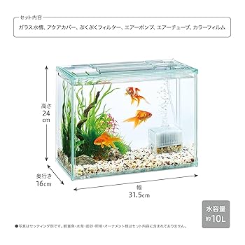 ◯ゲックス Amazon.co.jp: ジェックス GEX 金魚元気 ぶくぶくクリアセット
