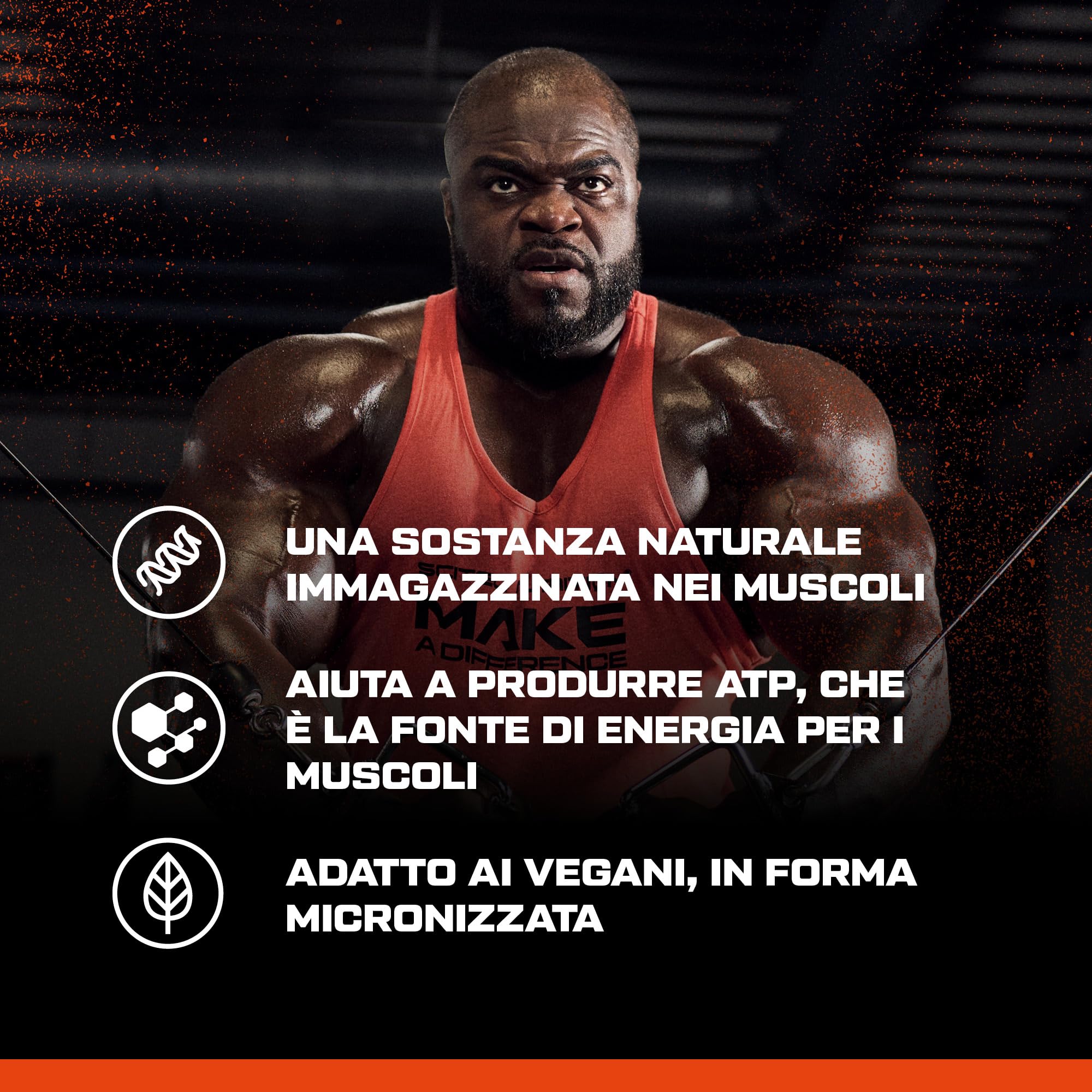 Scitec Nutrition 100% Creatine Monohydrate - Creatina pura in polvere | Con creatina, 3 g al giorno per prestazioni fisiche in esercizi brevi e intensi - Priva di additivi - 500g, non aromatizzato