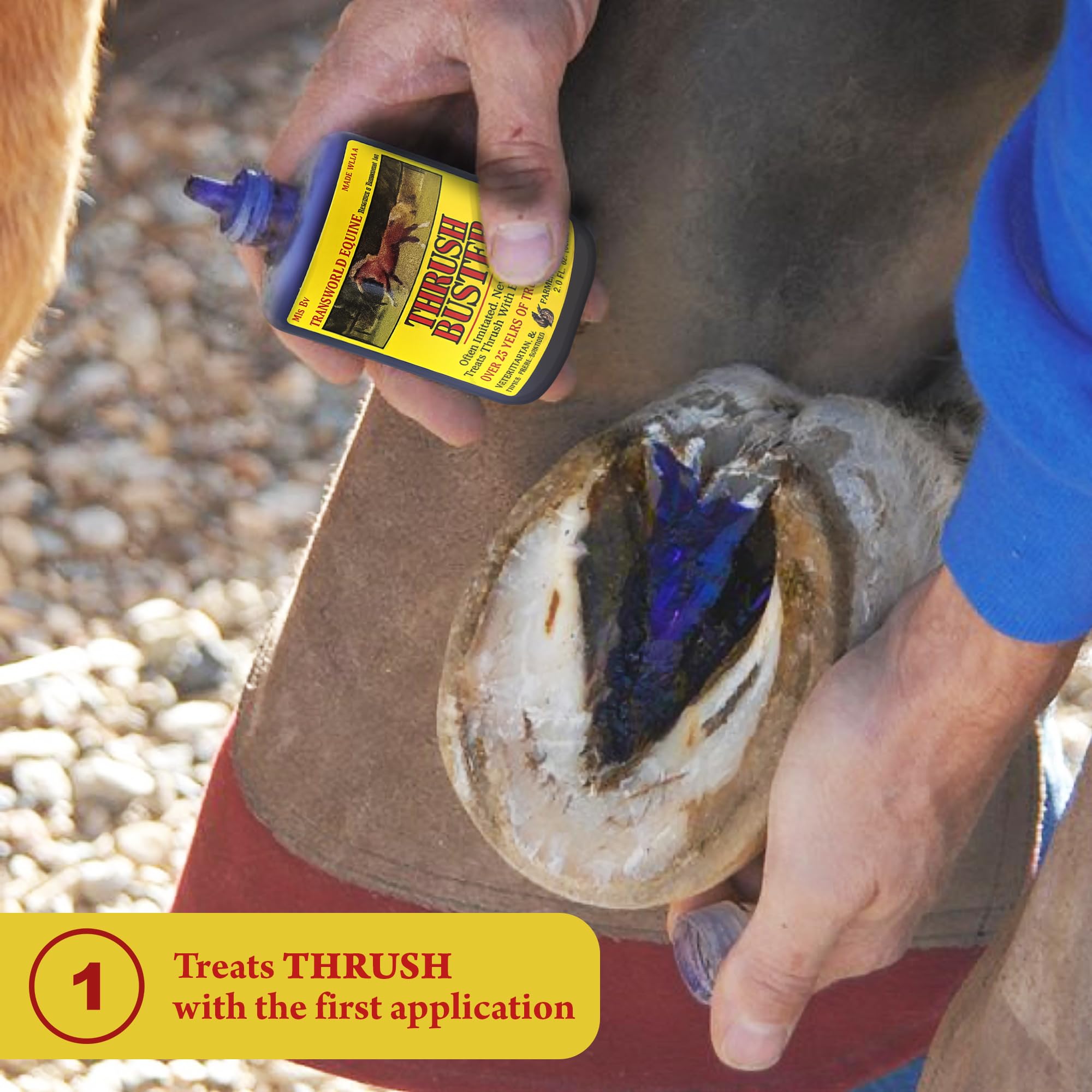 Tohoyard- Thrush Buster 2.0 FL oz para Caballos