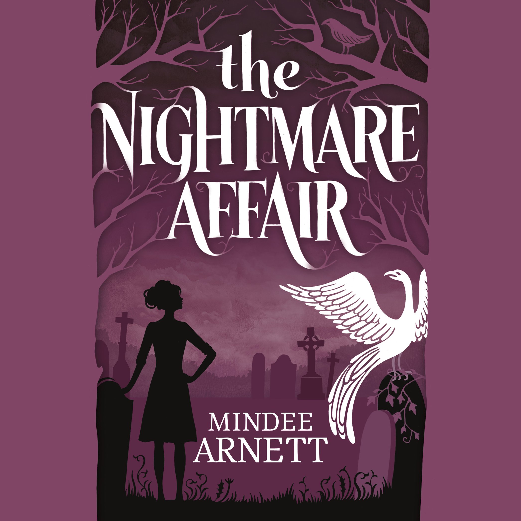 Cover art for The Nightmare Affair