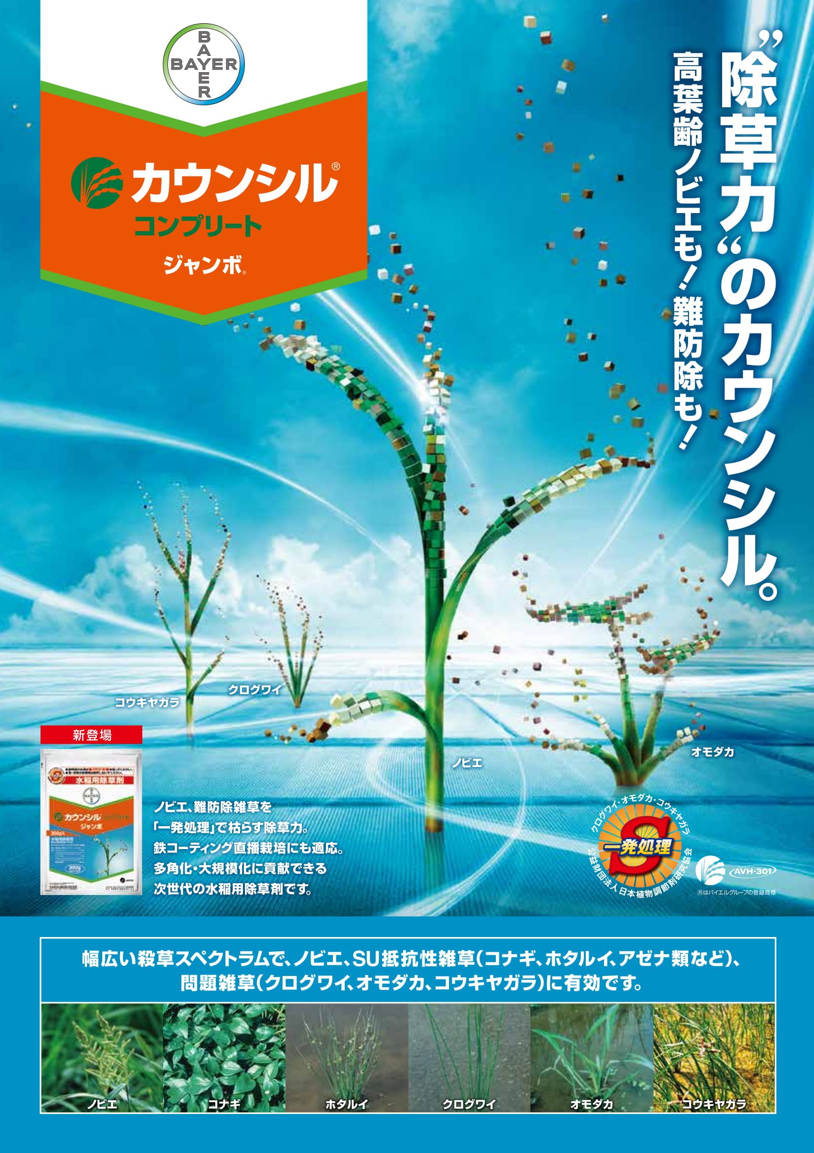 Amazon | バイエルクロップサイエンス 除草剤 水稲用初中期一発除草剤