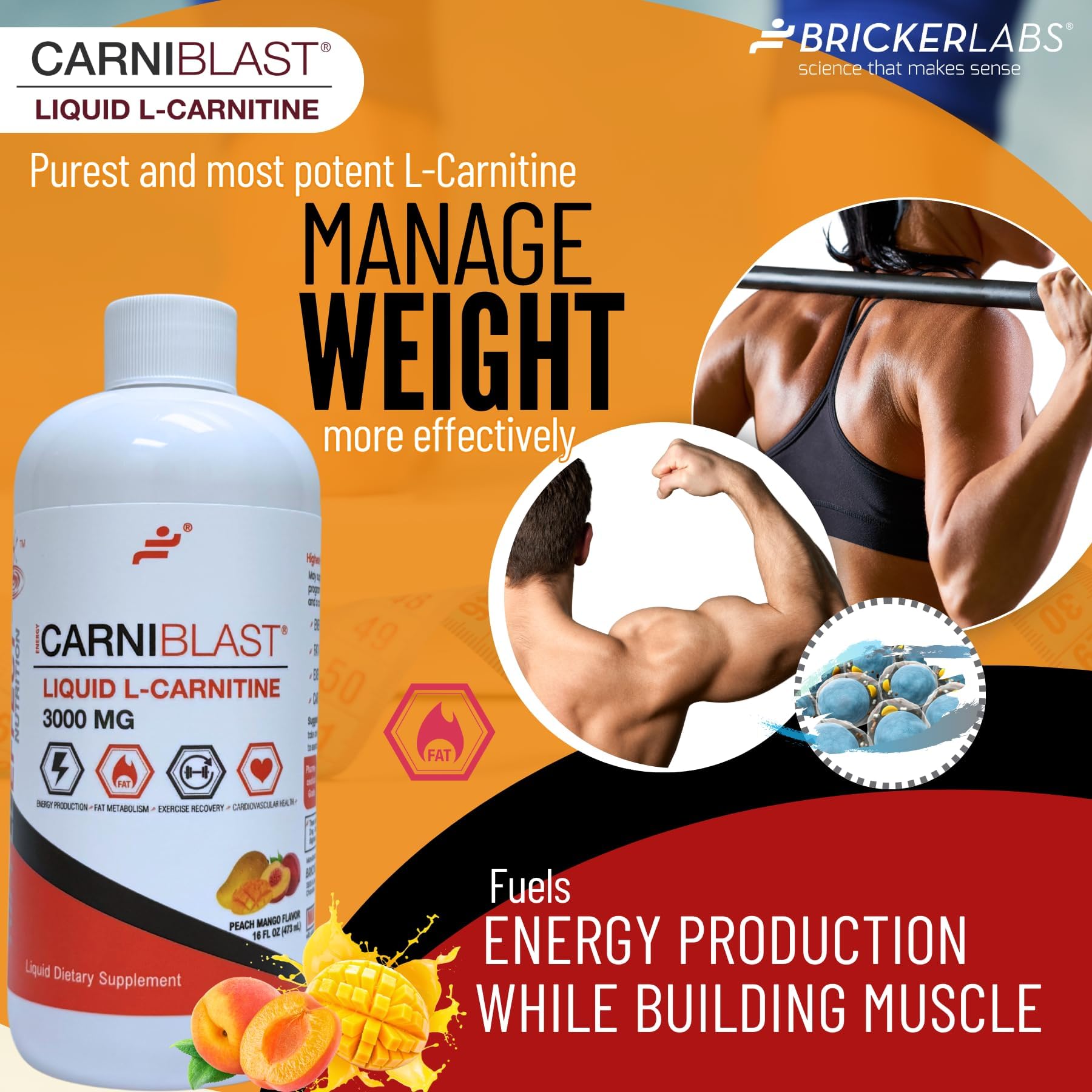 l carnitine build muscle Amazon.com: Bricker Labs CARNIBLAST Liquid L-Carnitine 3000mg Carnipure®  Sports Nutrition Supplement for Energy, Stamina & Workout Recovery Peach  Mango Flavor, 16 Fl Oz, Vegan, Gluten-Free, Non-GMO : Health & Household