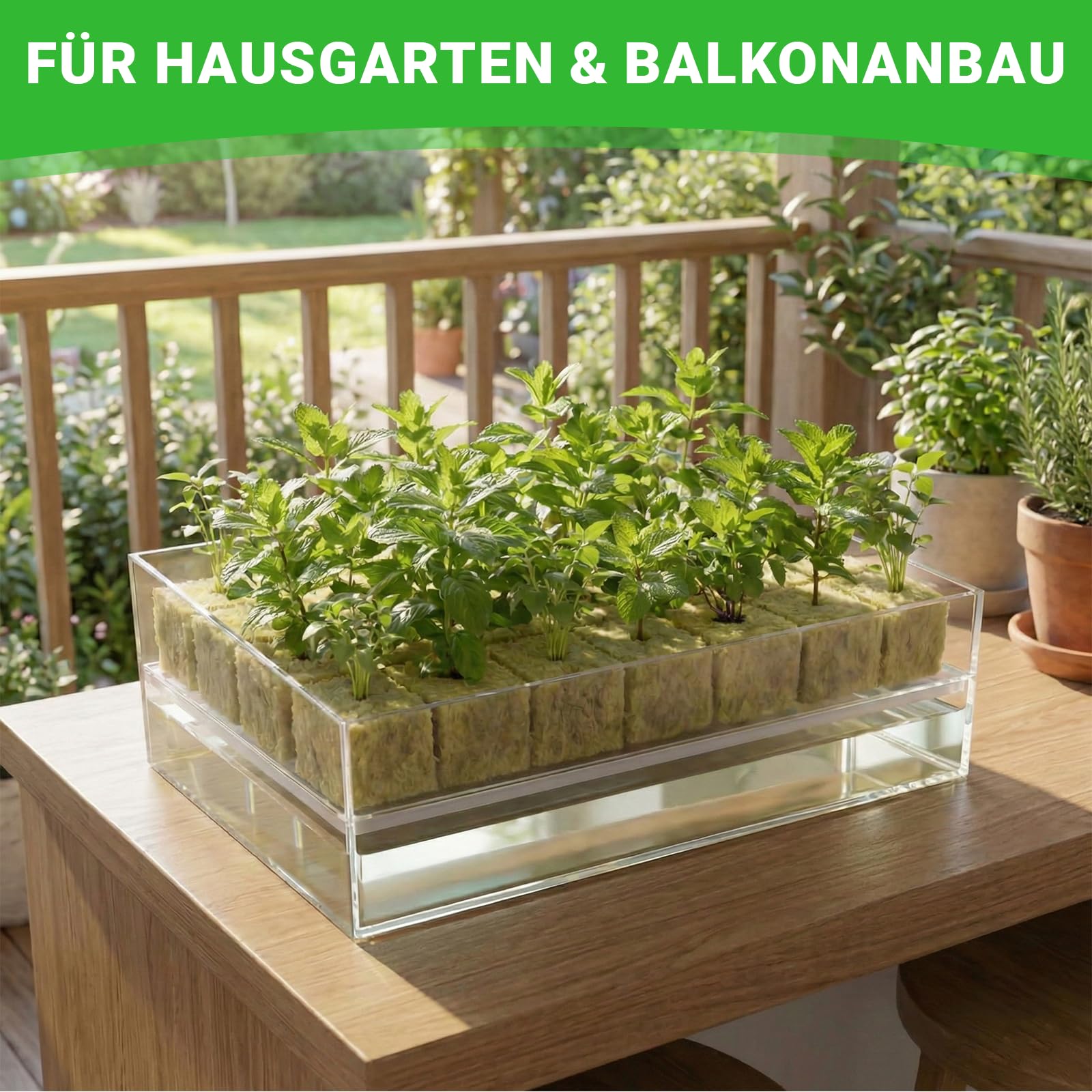 100 sztuk wełny mineralnej, 25 x 25 x 25 mm, Rockwool Cube z nożyczkami, rękawice, Easy Plug kostki do uprawy wełny kamiennej, zestaw do uprawy sadzonek, sadzonek, bezdennych