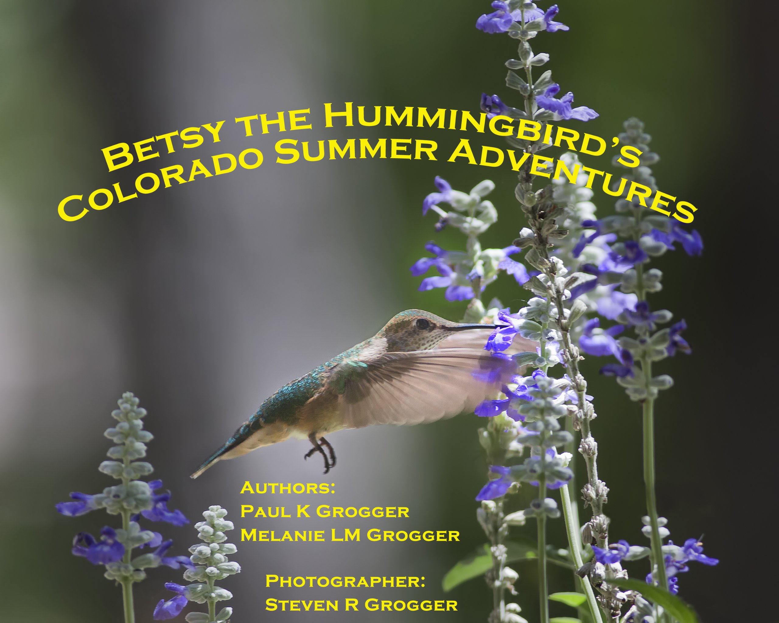 Betsy the Hummingbird's Colorado Summer Adventures