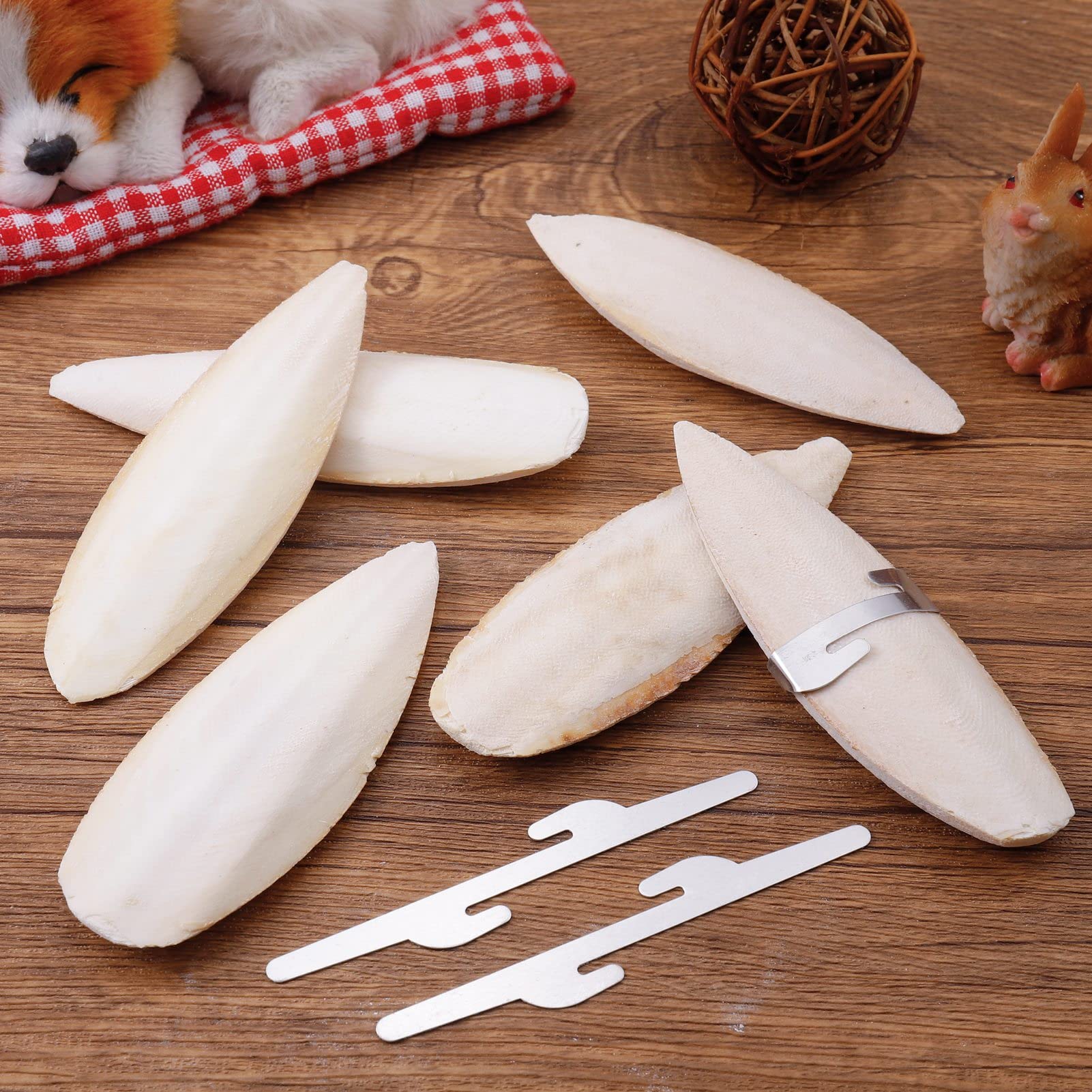 Emours Tintenfischknochen Naturprodukt – 4-6 Zoll (ca. 10-15 Cm), Doppelpack Für Vögel, Reptilien & Kleintiere