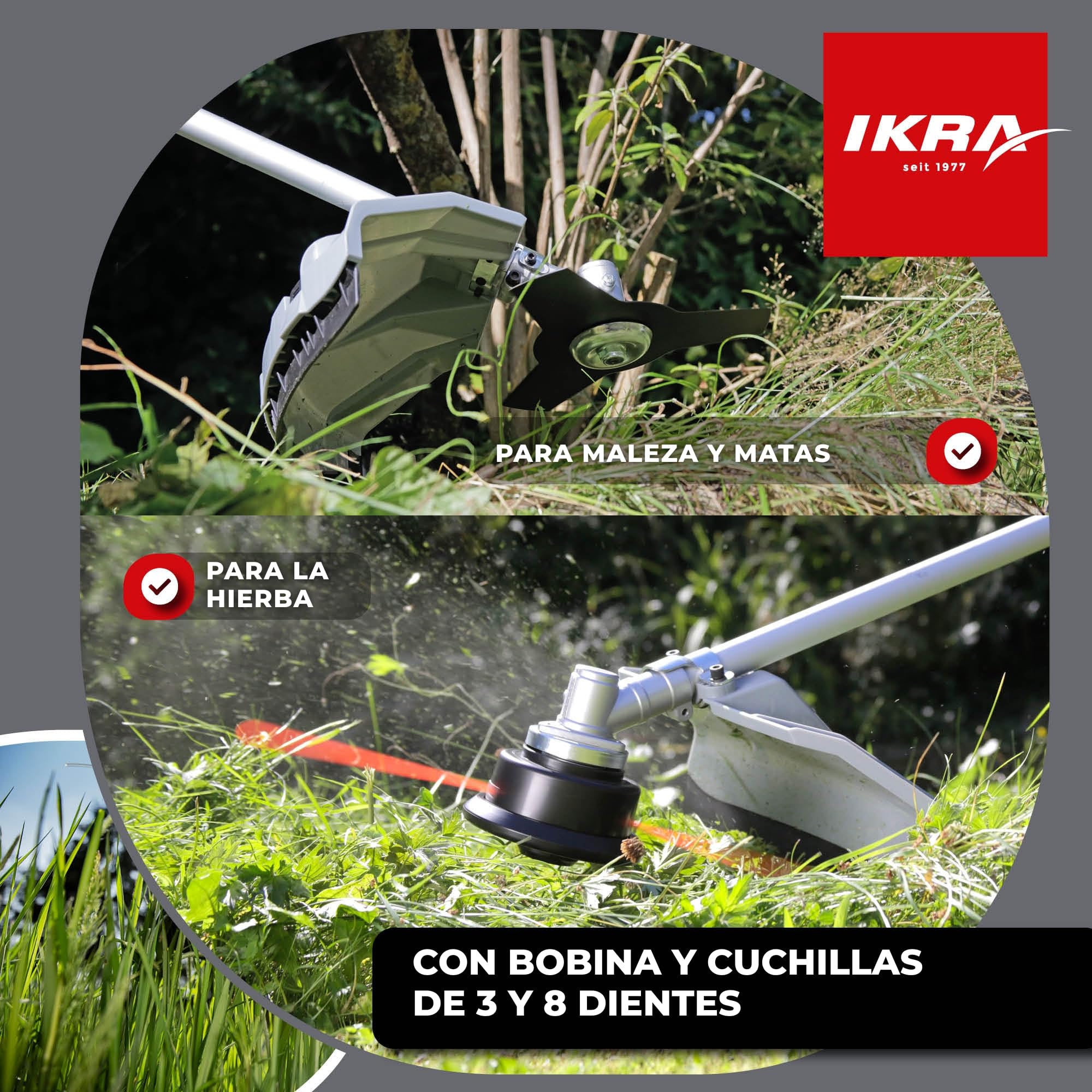 IKRA desbrozadora de Gasolina IBF 4342 con útiles Accesorios | Incluye cuchillas de 3 y 8 dientes, 2 bobinas y correa para el hombro, potente motor de 2 tiempos, 42,7 cm³, 1,25 kW