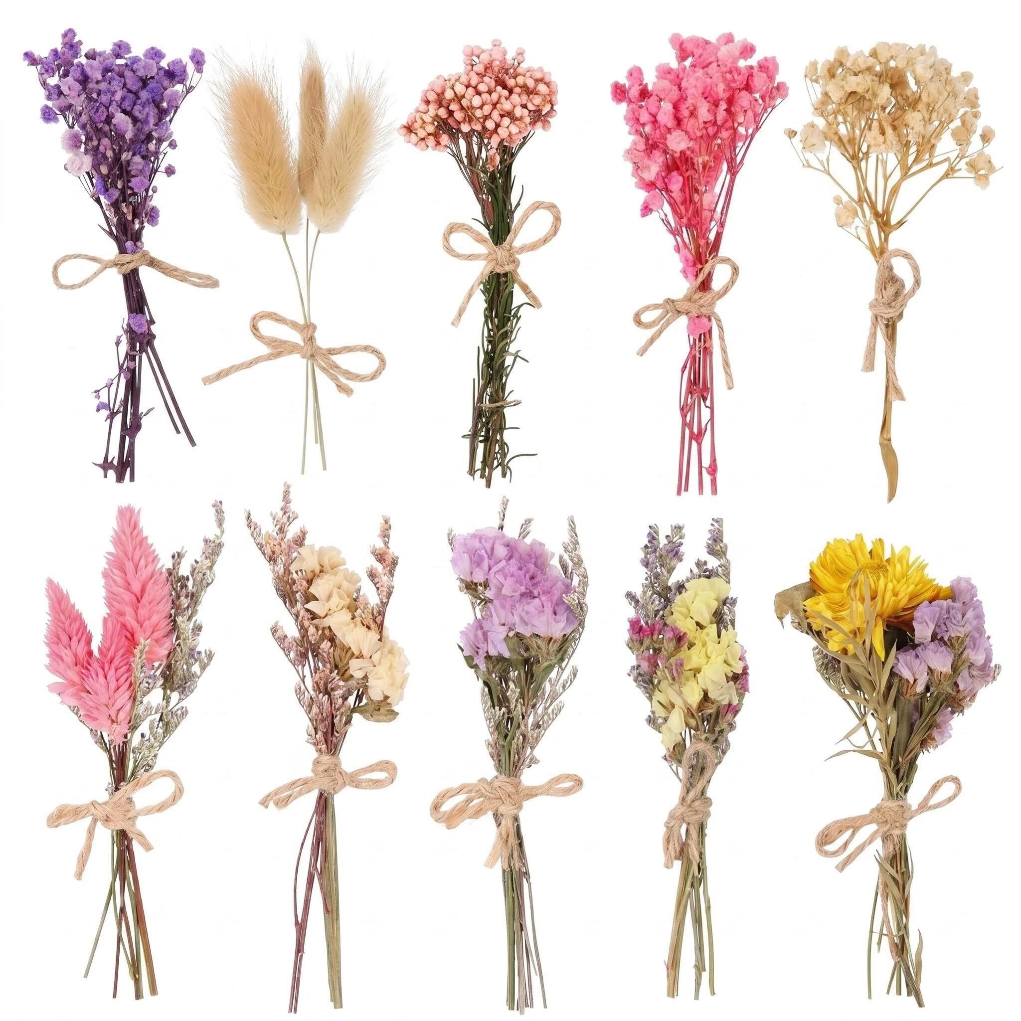 Mtbricey 10 Bundles Mini Dried Flower Bouquet Natural Real Dried Flowers，E