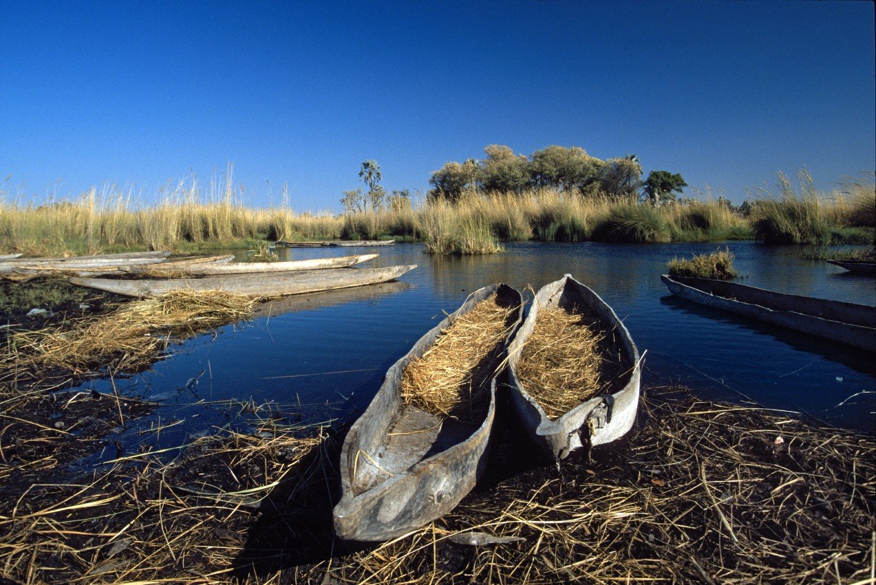On Location: Die Welt der Naturfotografie