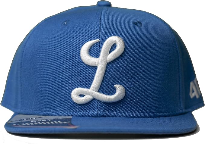 Amazon.com: LidomShop Unisex Tigres del Licey 4Fans Azul Juego Auténtico  Colección En Campo Gorra Azul Unisex 4Fans Tigres del Licey, Gorra Oficial  de Juego Cerrada (Azul, 7 1/8) : Deportes y Actividades