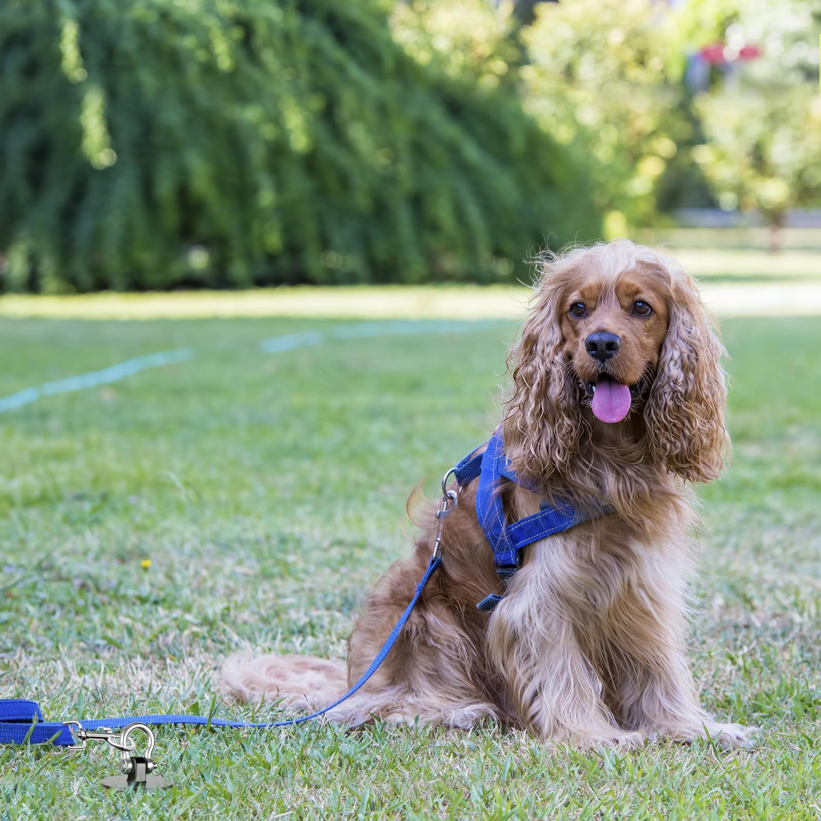SELEWARE Piquet d'attache d'extérieur antirouille pour Chiens de Grande Taille pesant jusqu'à 100 kg, piquets Pliables pour Chien, matériel de Camping, Tige torsadée Incluse