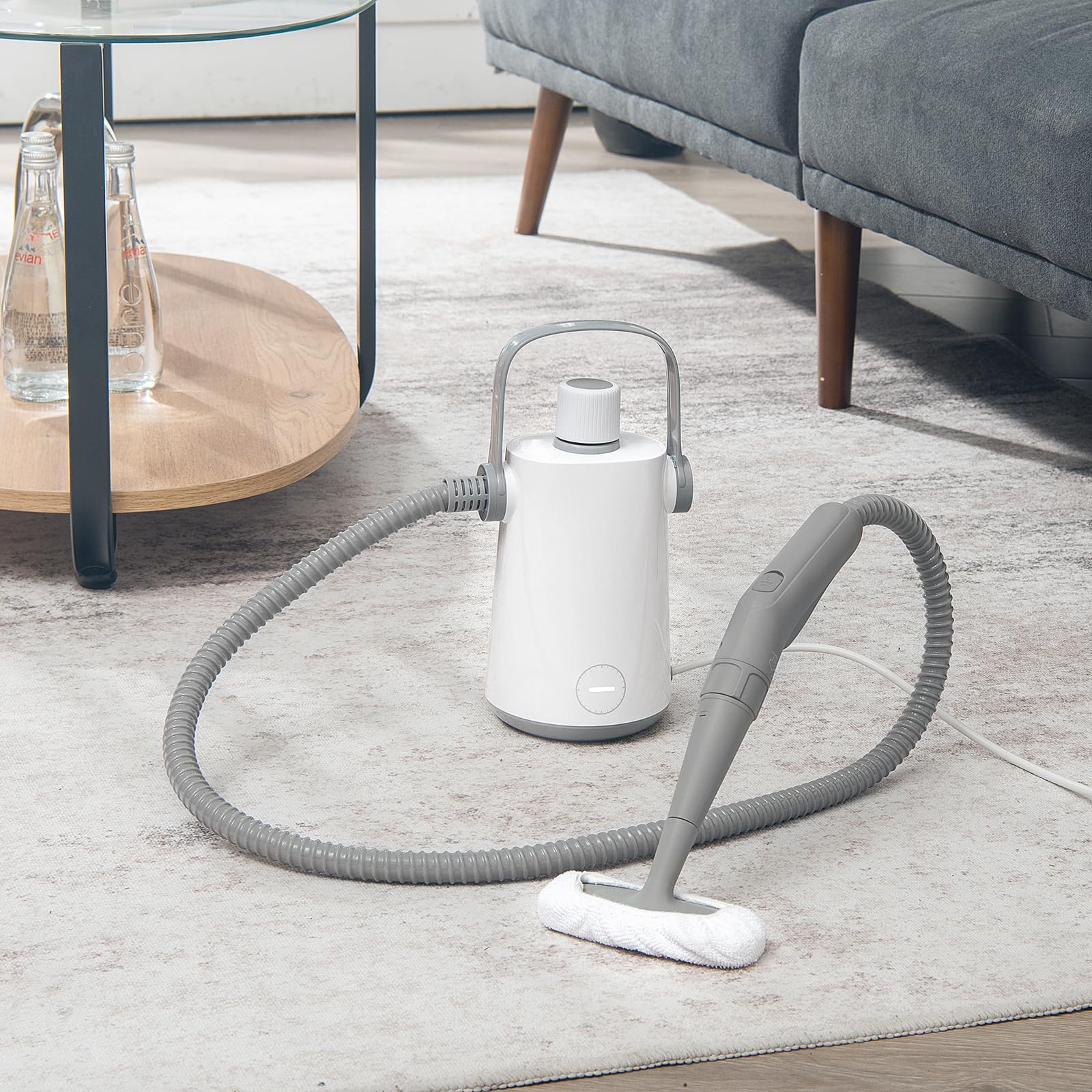 RELAX4LIFE Limpiador a vapor portátil de 1000 W, limpiador multiusos con 10 accesorios, depósito de agua de 300 ml, para suelo de moqueta, cortinas, asientos de coche, cocina, baños (300 ml, verde)