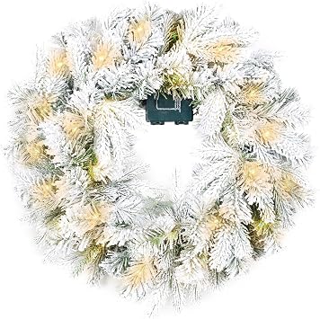 Gfilay 20 Inch Prelit Flocked Christmas Wreath with Timer, Battery Operated