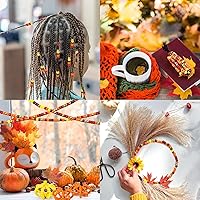 Vista 7 de Whaline 1000 cuentas de pony de otoño con 100 tallos de chenilla, limpiadores de tuberías de 6 colores, cuentas de plástico para manualidades