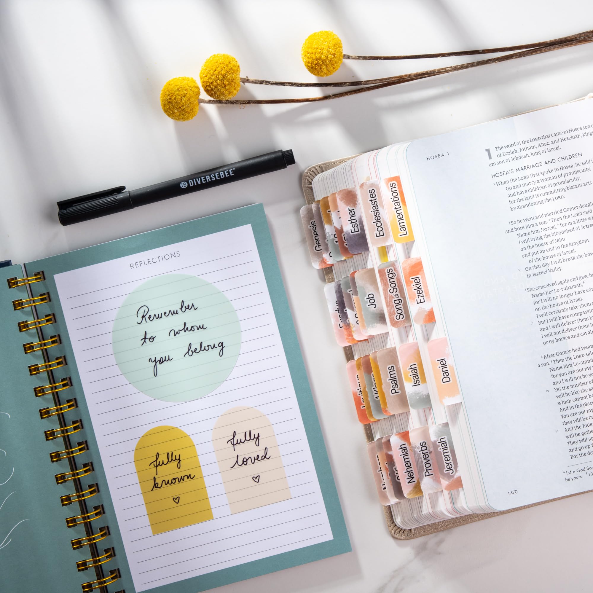 DiverseBee Notas adhesivas transparentes (incluye bolígrafo de secado rápido), bonitas pestañas adhesivas transparentes, banderas de página translúcidas, marcadores de libros, accesorios de