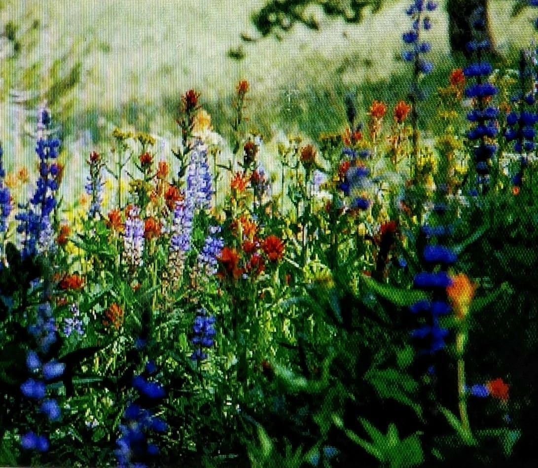 Portal Cool Only The Hardiest! Strickly Sierra Wildflowers