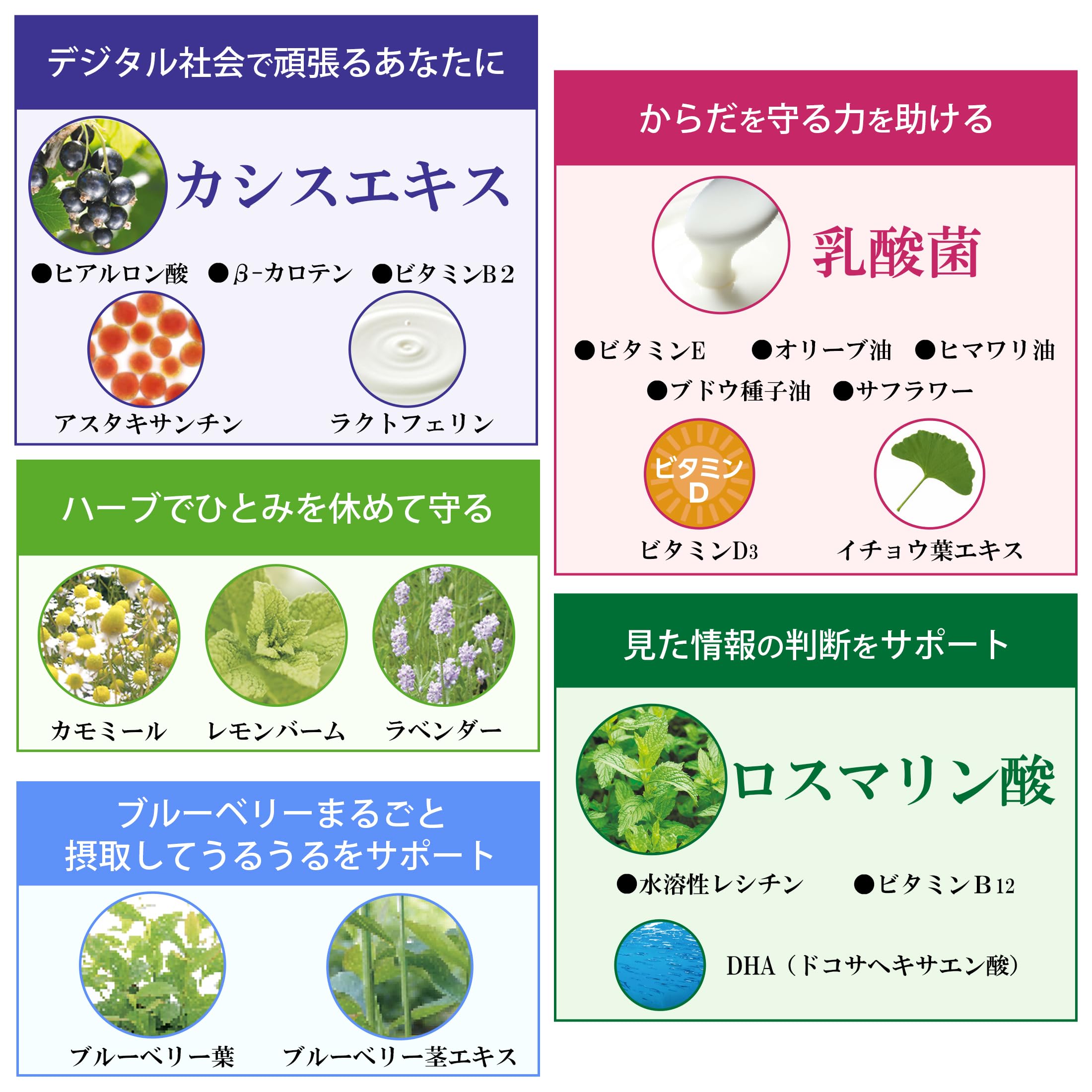 Amazon.co.jp: 【公式】 わかさ生活 ブルーベリーアイ ブルーベリー