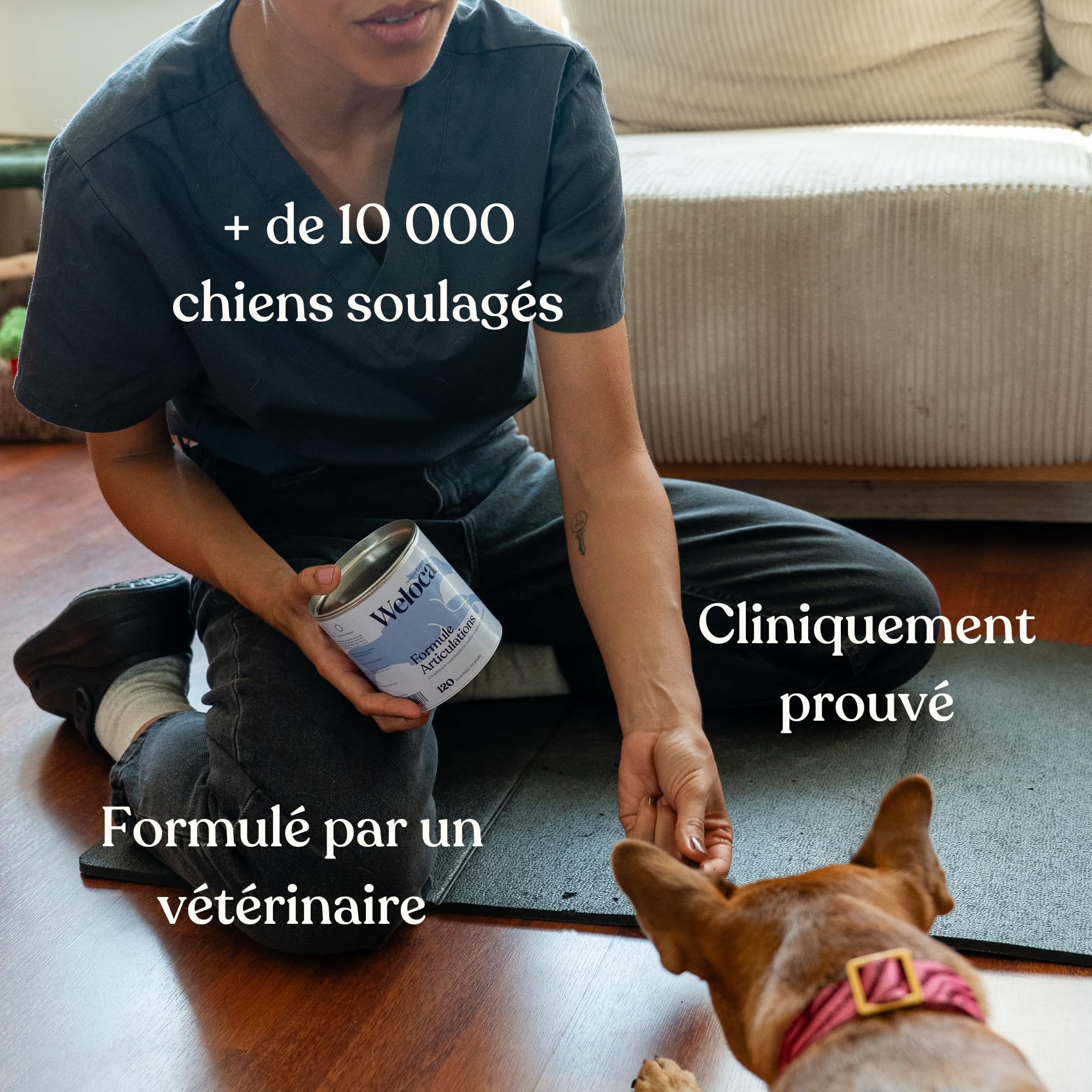 Arthrose Chien - 60 bouchées - 11 Actifs puissants (Glucosamine Chondroïtine, MSM, Moule Verte, harpagophytum) - Anti inflammatoire - Complement Alimentaire Chien - Nouveau Format