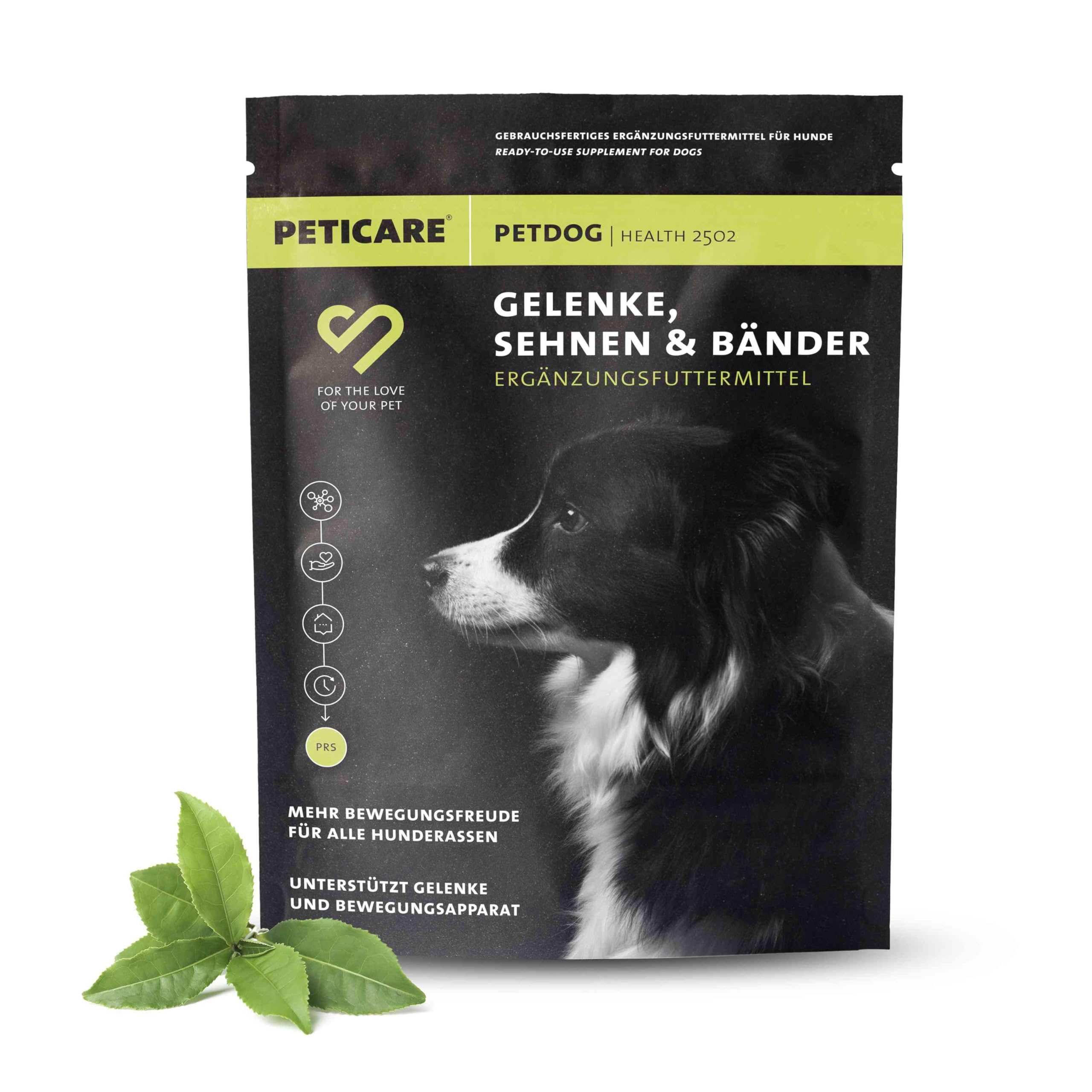 Peticare PetDog Health 2502 proszek stawowy dla psów, z MSM, kolagenem, wspiera stawy, układ mięśniowo-ruchowy, ruchliwość po obciążeniu, bez tabletek, kapsułek, środek do karmy uzupełniającej