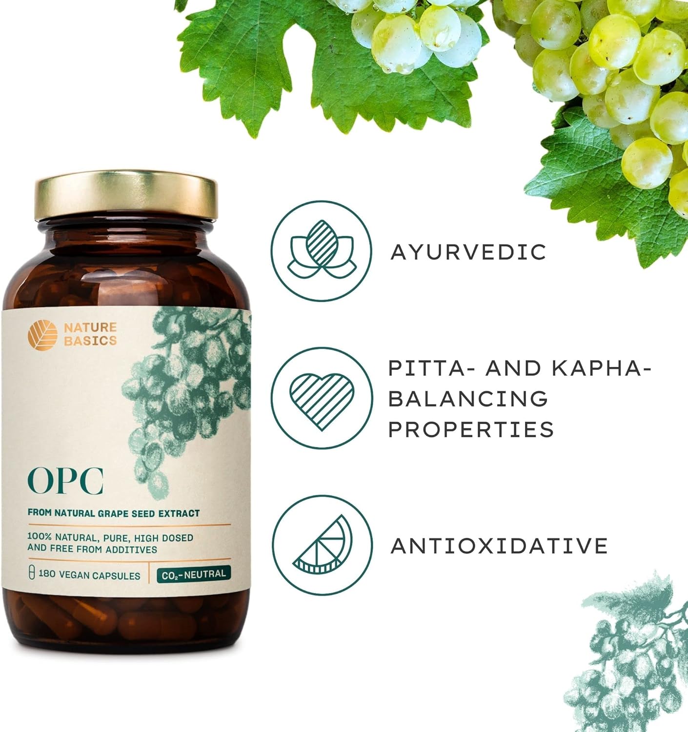Nature Basics® Natural OPC Grape Seed Extract Certified & Sustainable