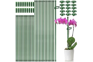48-Pack Gladiola Support Stakes for Healthy & Tall Blooms