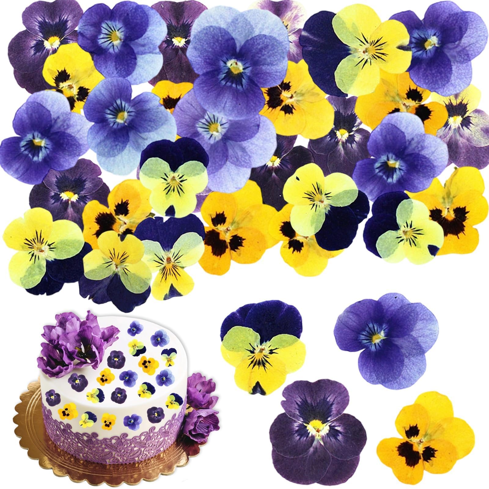 48-Piece Natural Pressed Flowers Set  Dried Real Flowers for Cake Decorating, Resin Jewelry, Scrapbooking & DIY Crafts