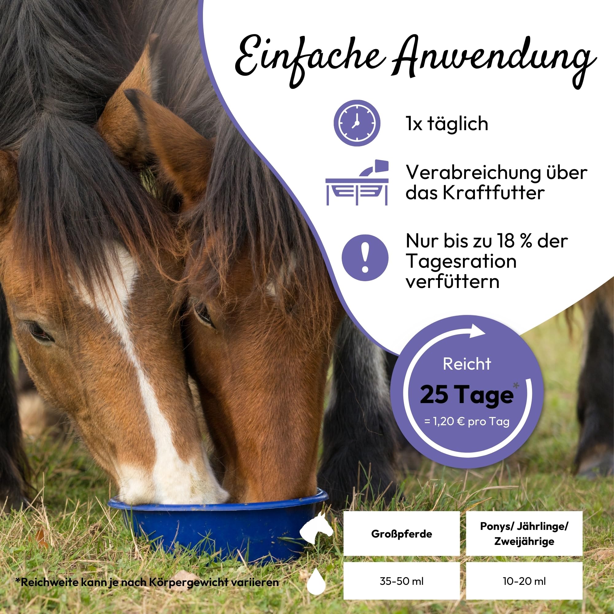 PHA Liquide Anti-Stress pour Chevaux - Soutien Naturel en Cas de nervosité, d'anxiété et de Stress - avec Vitamine B12, magnésium, Calcium, Zinc et tryptophane - 1 l